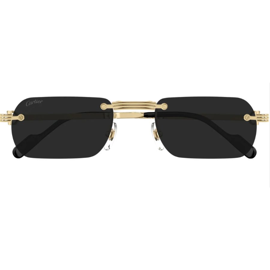 Cartier-occhiale da sole-CT0499S Folding L'Occhialaio Arezzo